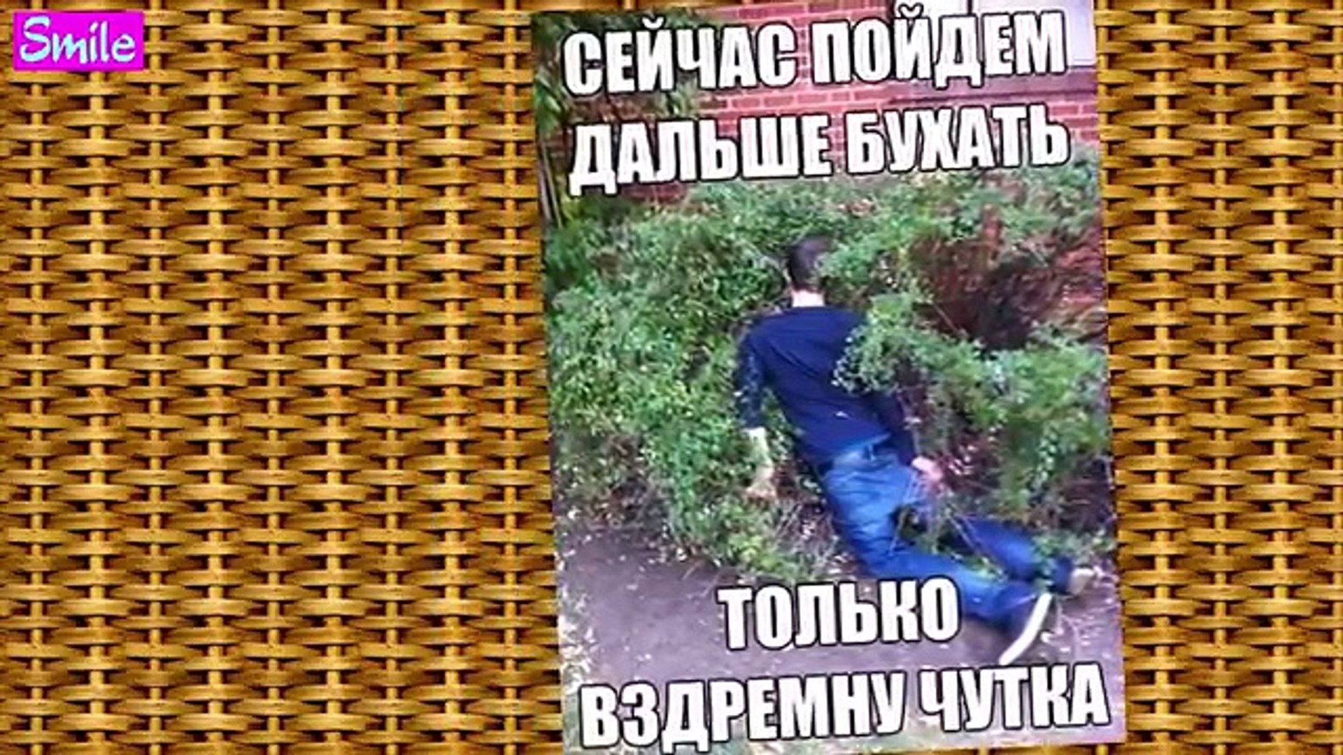 Приколы new года ФОТО ПРИКОЛЫ