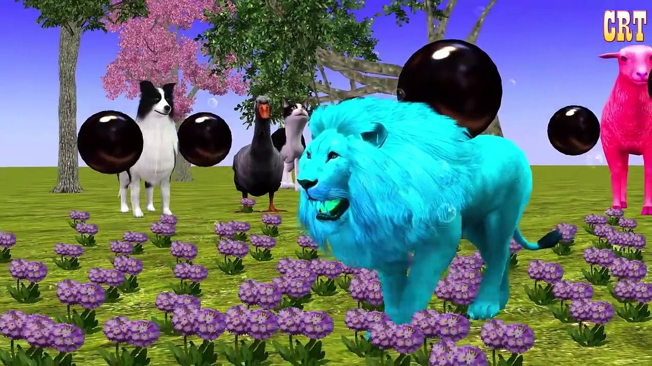 Toon Vaca Colorido Color De Aprendizaje De Canciones De Canciones Infantiles Para Niños Rimas De Compilación