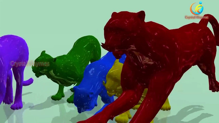 Dinosaurio Gorila Colores Elefante León Mono Tigre Jugando | Animales De Dibujos Animados De Coches De Carreras De Fo