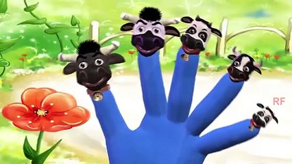 animals finger family | nursery rhymes video | baby songs | Kids rhymes