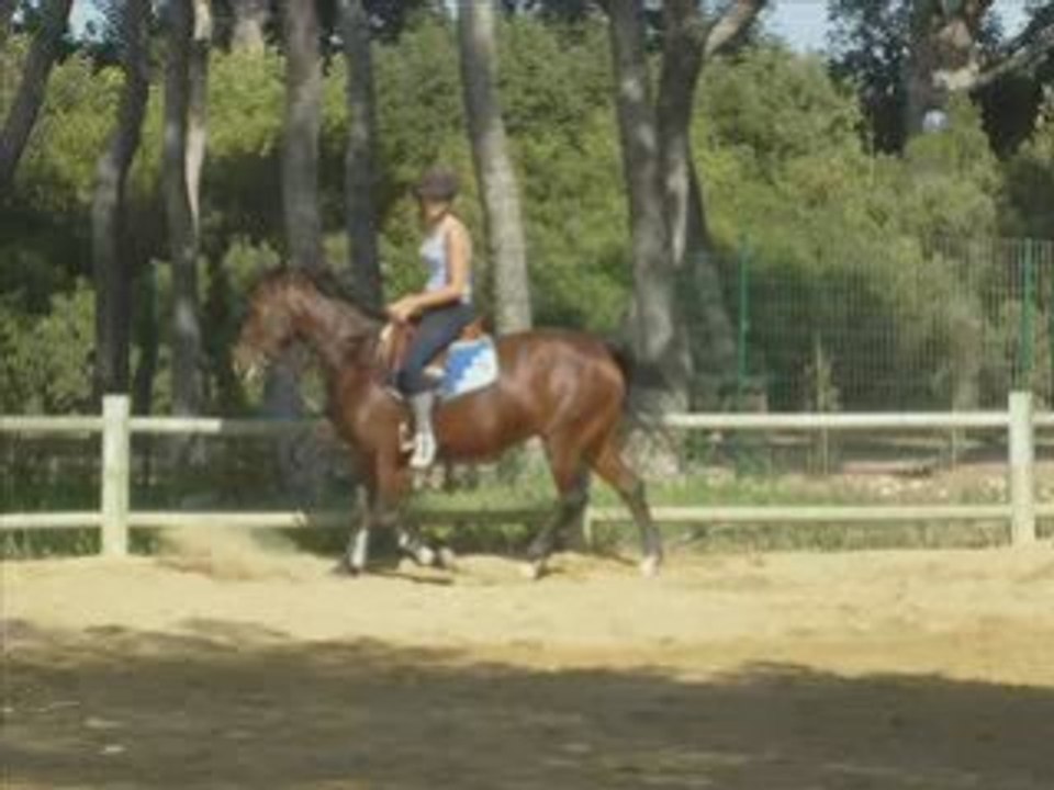 Noémie et Mu