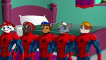 5 Little Paw Patrol SPIDERMAN Jumping on the Bed - FIVE LITTLE MONKEYS PAW PATROL SONGS Fo