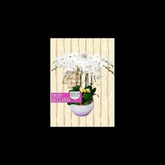 Flower Delivery Singapore: Send Elegant Orchid this Mother’s Day