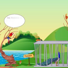 Make your life happy with what you have