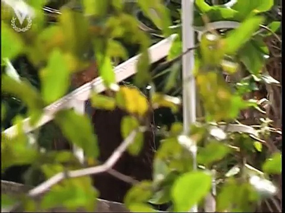 La Viuda Joven Capítulo 28
