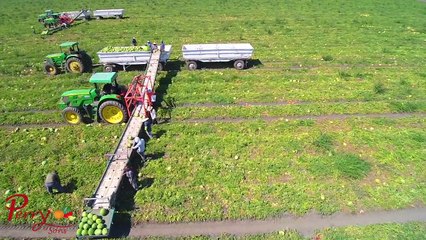 They saw this strange machine, but what theyre doing with it is very interesting!