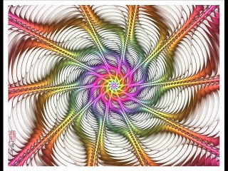 LeMinhMan Twinkle Winkle 4