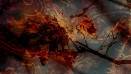 Schumann Fantasy Pieces for Cello and Piano