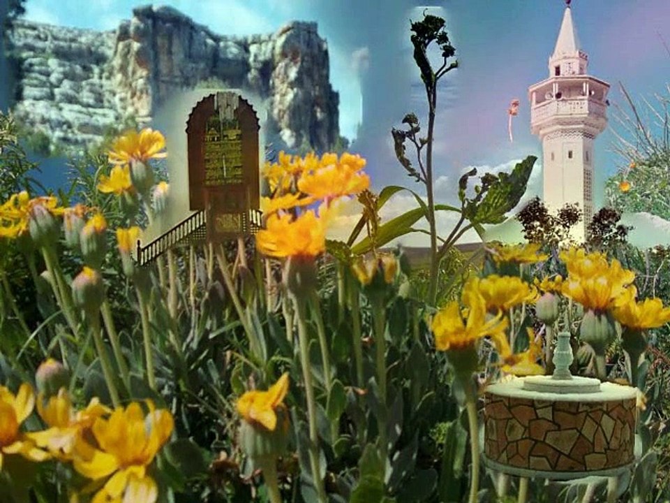 اه من الغربه يا بلادي  واه وحشاني يا بلادي