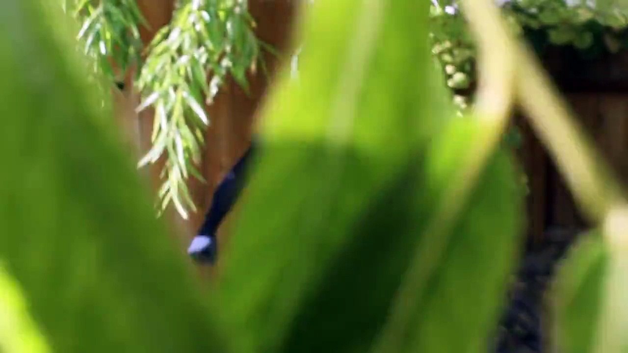 Spiderman Vs Venom - Real Life Superhero Battle _ Trampoline Fight-OiH