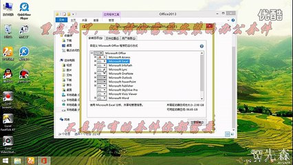 Microsoft Office Professional Plus 2013 64bit [ダウンロード版]