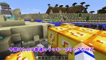 【Minecraft】ダイヤモンドラッキーブロックの家を壊したら大変なことになった！？マイクラ史上最大のとんでもない幸運がうp主に…！！【ゆっくり実況】【マインクラフトmod紹介】-w_XgDg2OC38