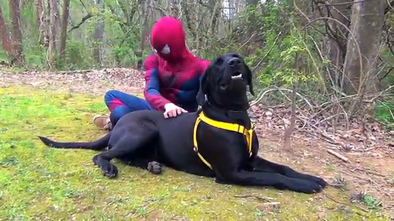 Spider-Man Kisses Elsa In Real Life! w/ Frozen Olaf & Zombie Spiderman Fun Superhero Movie