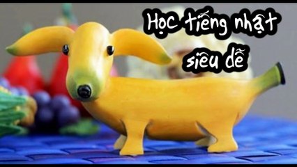 Cách nhớ từ vựng siêu cấp - Từ vựng về động vật