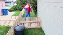 Spiderman vs Black Spiderman - Real Life Superhero Battle _ Boxing Fight-E