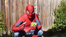 Spiderman and Spidergirl Bubble Gum Poo Prank Fun - Superhero Movie In Real Life!-ELSm