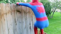 Spiderman vs Black Spiderman - Real Life Superhero Battle _ Boxing Fight-E7o