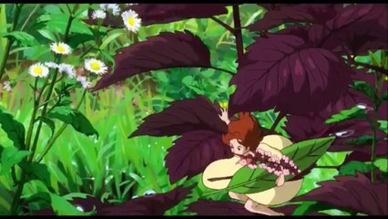 le mixte anime : les studios ghibli 1