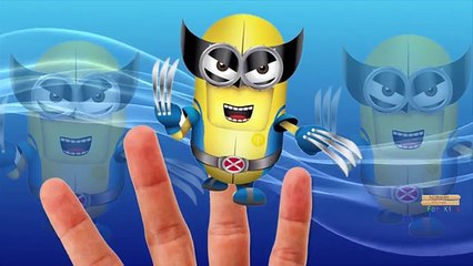 Finger Family Nursery Rhymes Minions Hulk Cartoon | Spiderman Superman Finger Family Rhyme