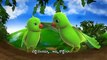 Chitti Chilakamma Parrots 3D Animation Telugu Rhymes For children with lyrics