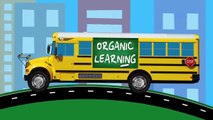 Cars Trucks Street Vehicles Teaching Colors - Learning Colours Video for Children - Organic L