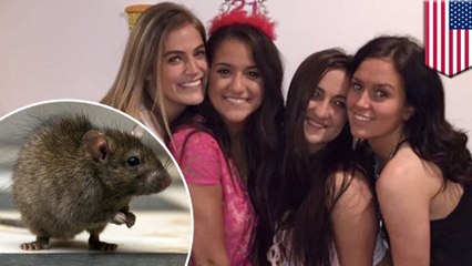 College girls hatch ingenious plan to kick rat out of their apartment