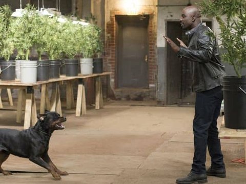 Marvel's Luke Cage Season 2 Episode 1 ~ FREE ONLINE {{1080p + HD }} STREAMING || ENJOY