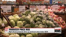 Korea's monthly producer prices went up 1.3% in January