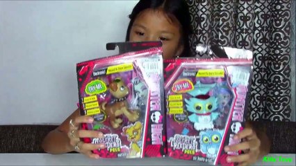 Monster High Secret Creepers Pets Monster High Secret Creepers Crypt - Kids' Toys-DFOsBOA