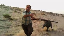 top 10 du  dangereux attaques des sangliers