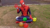 TOP Spiderman Wet Balloons Compilation - Learn Colours Water Balloon Finger Song Nursery Collection!-JB
