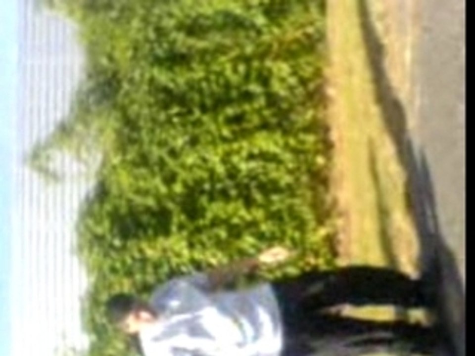 pascal qui danse de la techtonik