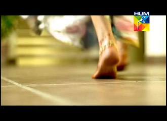 Kitni Girhein Baqi Hain - HUM TV Drama