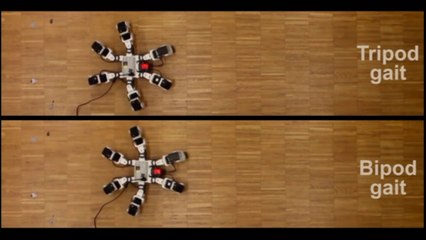 Desarrollan un robot de seis patas más rápido que los insectos