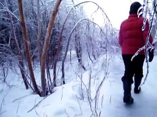 Regardez comment la nature a été cristallisée par une tempête de glace