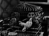 70. Suspense (1949)- 'Her Last Adventure' starring Lloyd Bridges