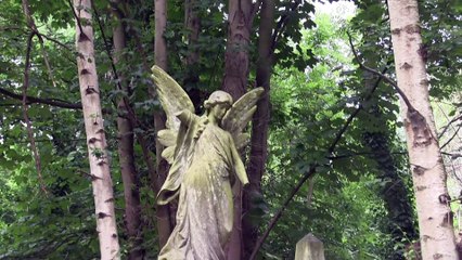 Vincent Ahn – Les Patriciens [Jann Halexander / Cover]