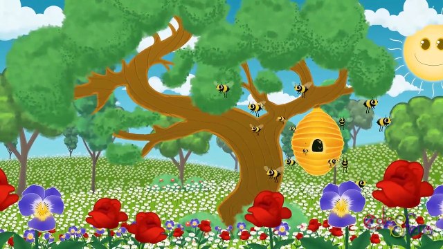 Arı Vız Vız Vız - Çocuk Şarkısı - Edis ile Feris Çizgi Film Çocuk Şarkıları Videoları