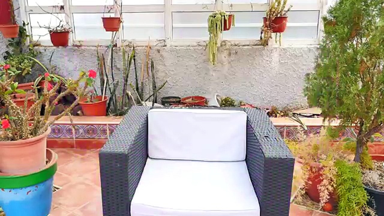 Frozen Elsa Becomes a Frog and Eats a Fly! Spiderman Kisses Frog w Hulk , Spiderbaby Super