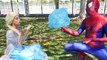 Jack Frost & Spiderman Love Frozen Elsa - Spiderman Webs vs ice Power - Superhero Fun in R