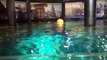 Ripleys Public Aquarium Toronto Tour 2016 Pt 2 | Ripleys Canada Sharks