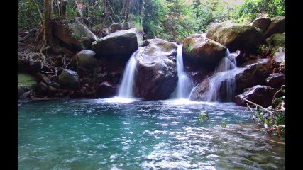 La femme& la rivière. Par DMG Sarok...
