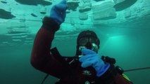 Adrénaline - Tous sports : A la découverte de la plongée sous glace avec Ludovic Guillot-Diat