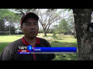 Anyaman Bambu Raksasa Berbentuk Belalang di Bandung - NET24