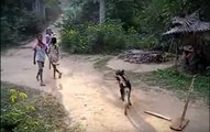 Un chien peut s'avérer très pratique lorsque des enfants jouent à la balle !
