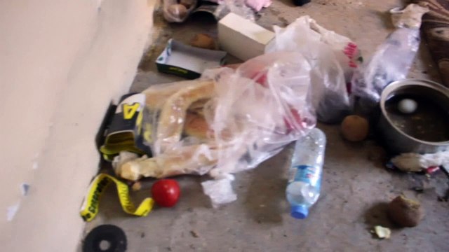 Thieves dig 25 metre tunnel into jewellery shop