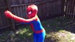 Superhero Easter Surprise Egg Hunt! Spiderman vs Venom vs Joker vs Frozen Elsa | Superhero