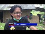 Rehabilitasi 20 Ekor Lutung Jawa di Batu Jawa Timur -NET12