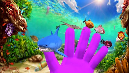 Dinosaurs, Lion Finger Family Songs For Kids | Gorilla, T Rex & More Animals Cartoon Nurse