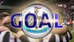 Yoan Gouffran Goal HD - Newcastle 1-0 Aston Villa 20.02.2017_HD